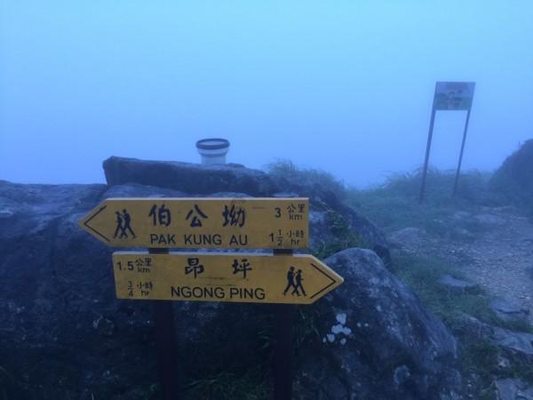 欢乐砸瓶子